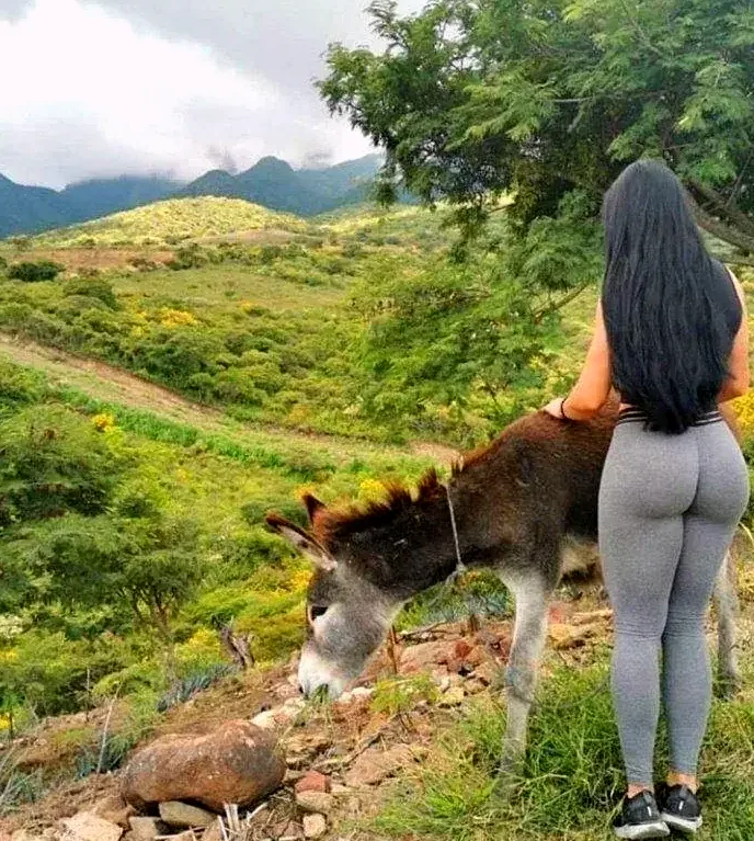 Contactos sexo Villahermosa